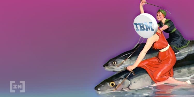 미국 베리 생산업체, 블록체인 기반 식품 모니터링 솔루션인 IBM 푸드 트러스트에 합류