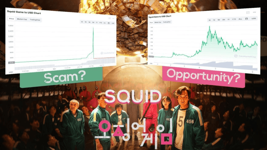 스퀴드 코인: 스캠의 끝판 왕 혹은 새로운 커뮤니티의 탄생