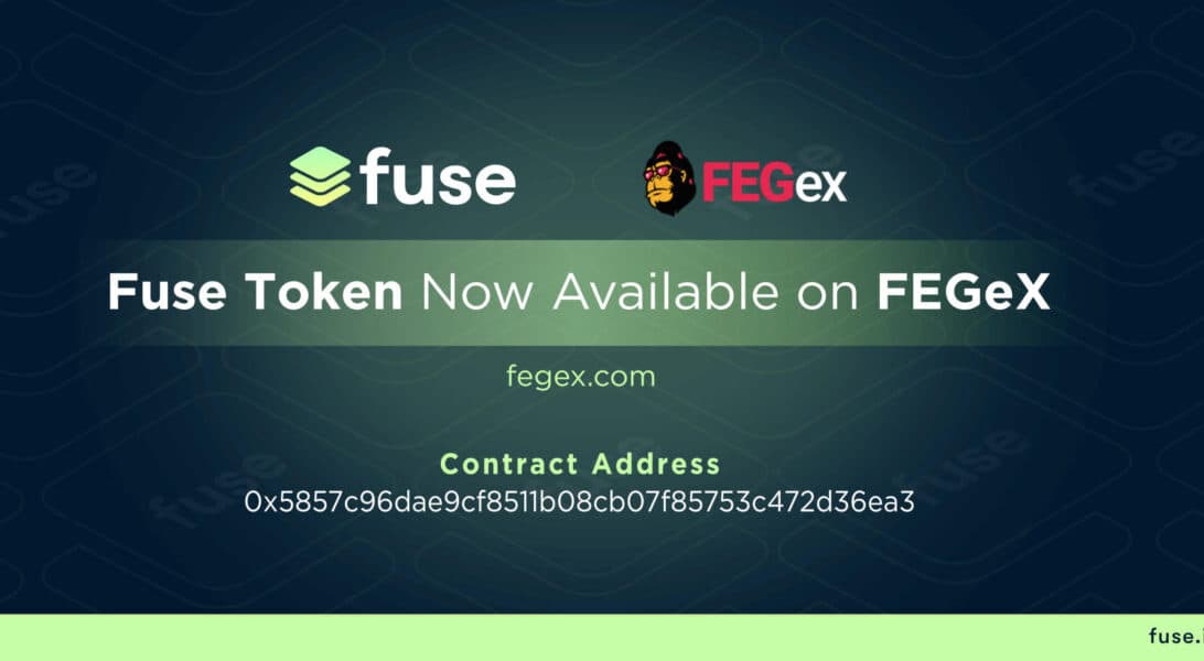 결제 및 디파이 중심 블록체인 퓨즈 네트워크, FEGex를 상장한 주요 DEX 발표