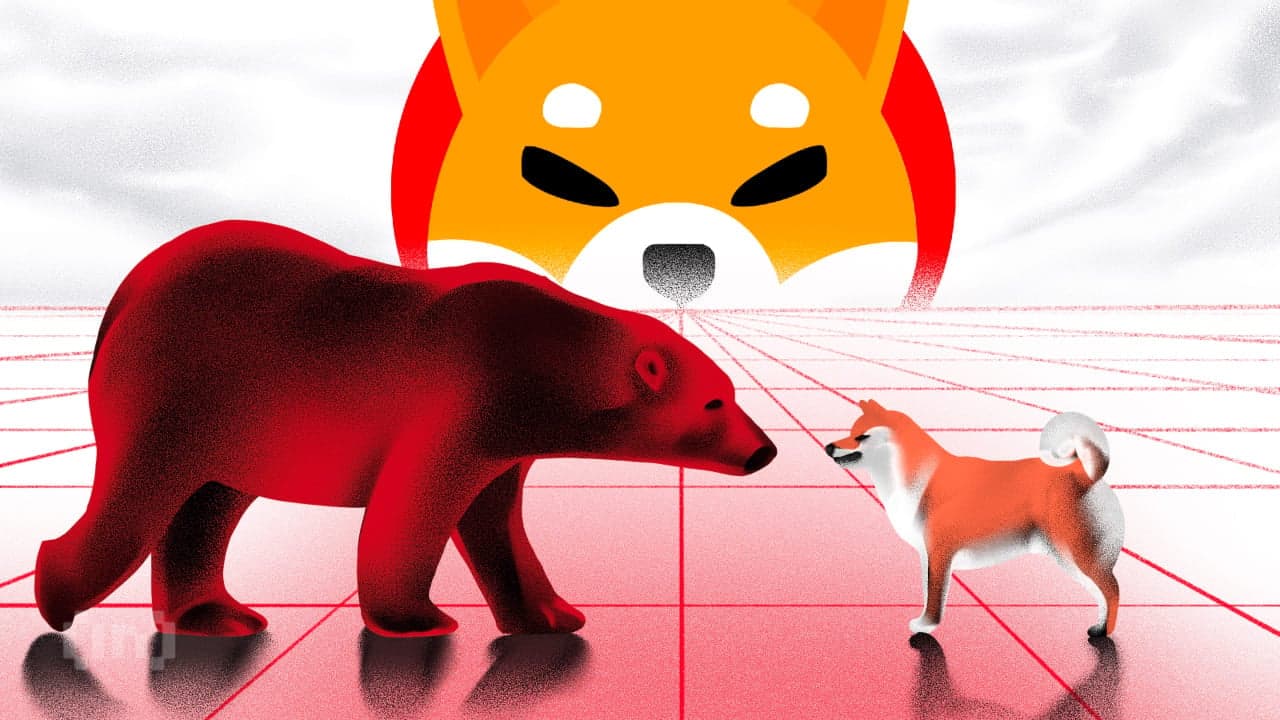 시바이누(SHIB) 가격, 13% 이득 지울 수도