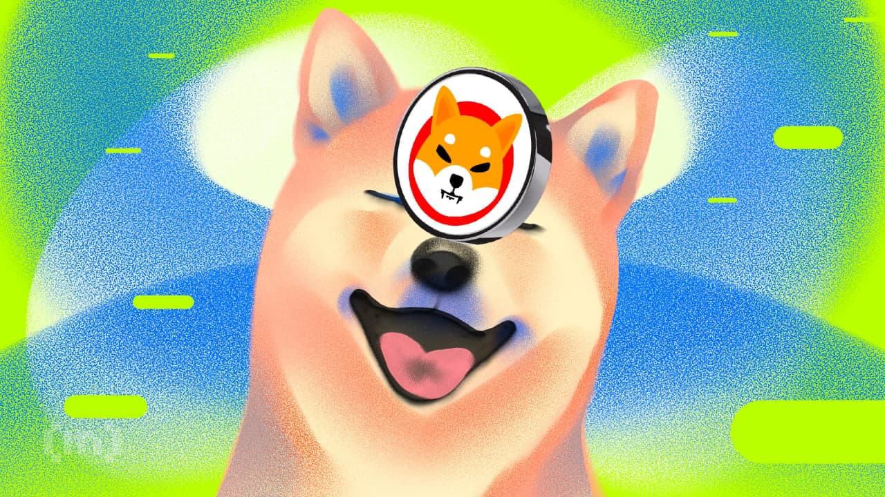 시바이누(SHIB) 570억개 거래소 유출…SHIB 가격 더 오를까?