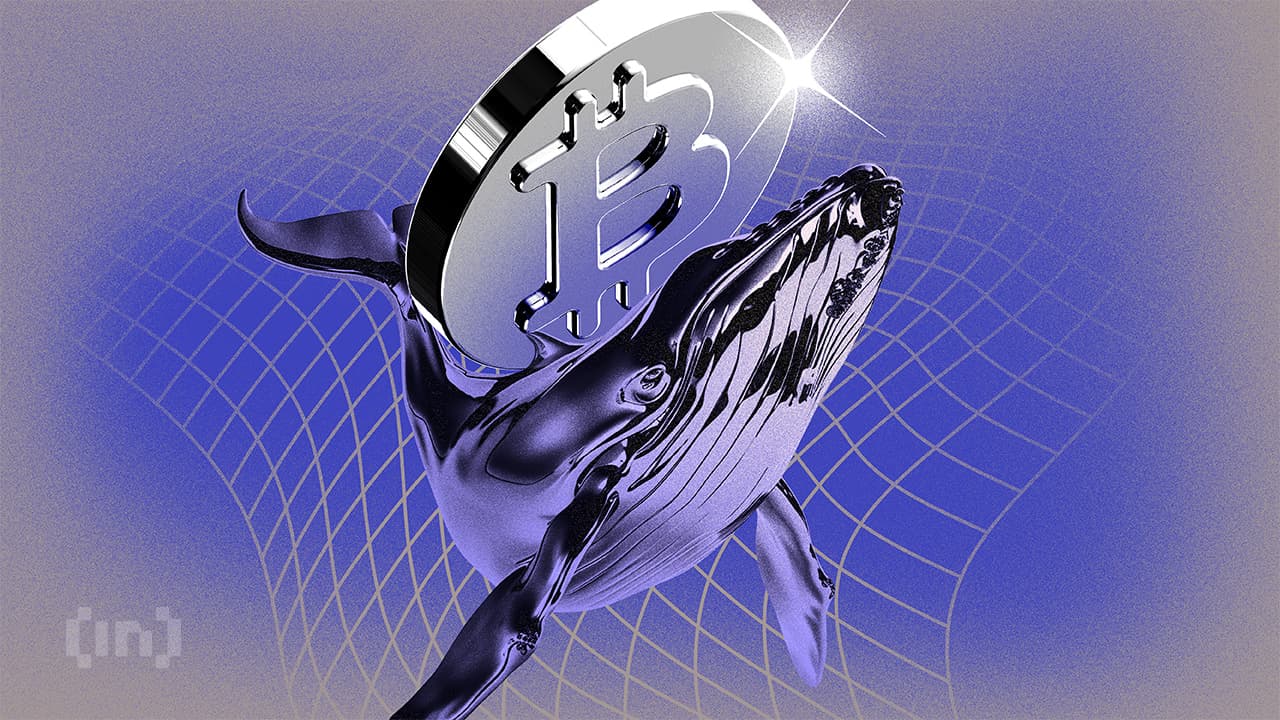 잠자던 비트코인 고래투자자, 5일간 275BTC 옮겼다