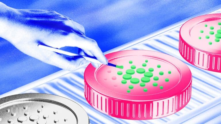 카르다노(ADA) 고래 투자자들, 1.4억 달러 매수&#8230;상승 신호일까?