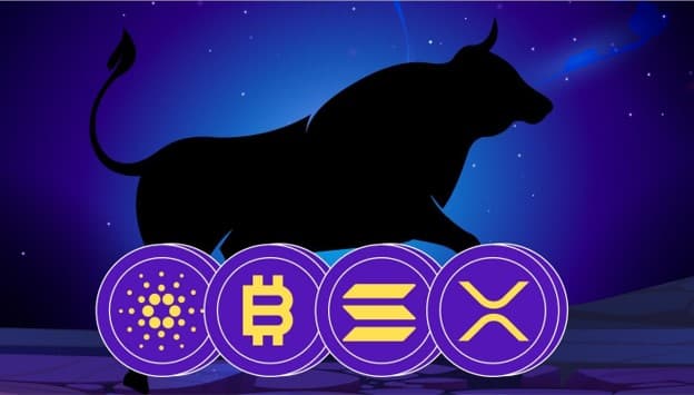 SOL·BTC 강세? 밈코인 랠리 준비 끝? 다음은 AI로 수익 극대화!