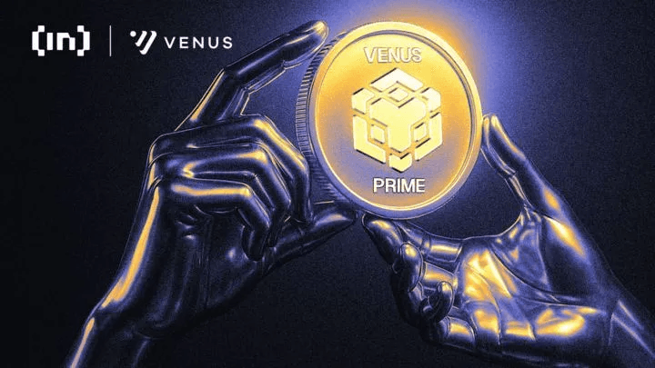 비너스 프라임 : BNB 대출 및 차용에 대한 보상이 강화된다