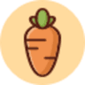 Carrot Stable Coin