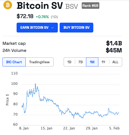 Craig Wright Bitcoin Satoshi Vision