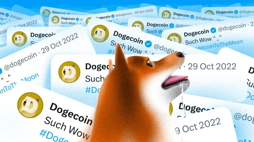 도지코인(DOGE) 가격 반등: 온체인 매수 신호 등장