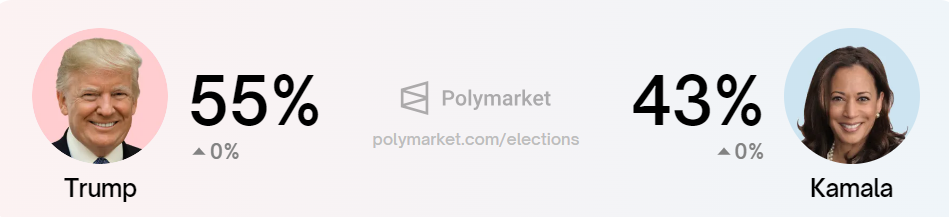 도널드 트럼프 대 카말라 해리스 선거 승률, 출처: Polymarket