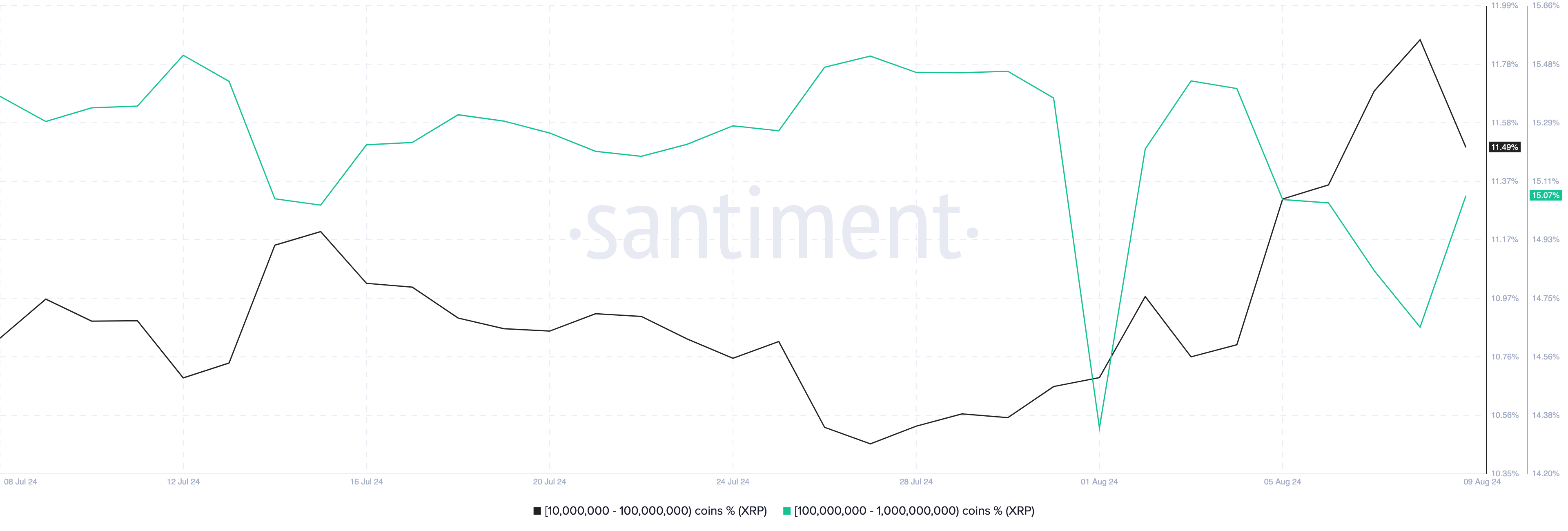 XRP 주소 잔고