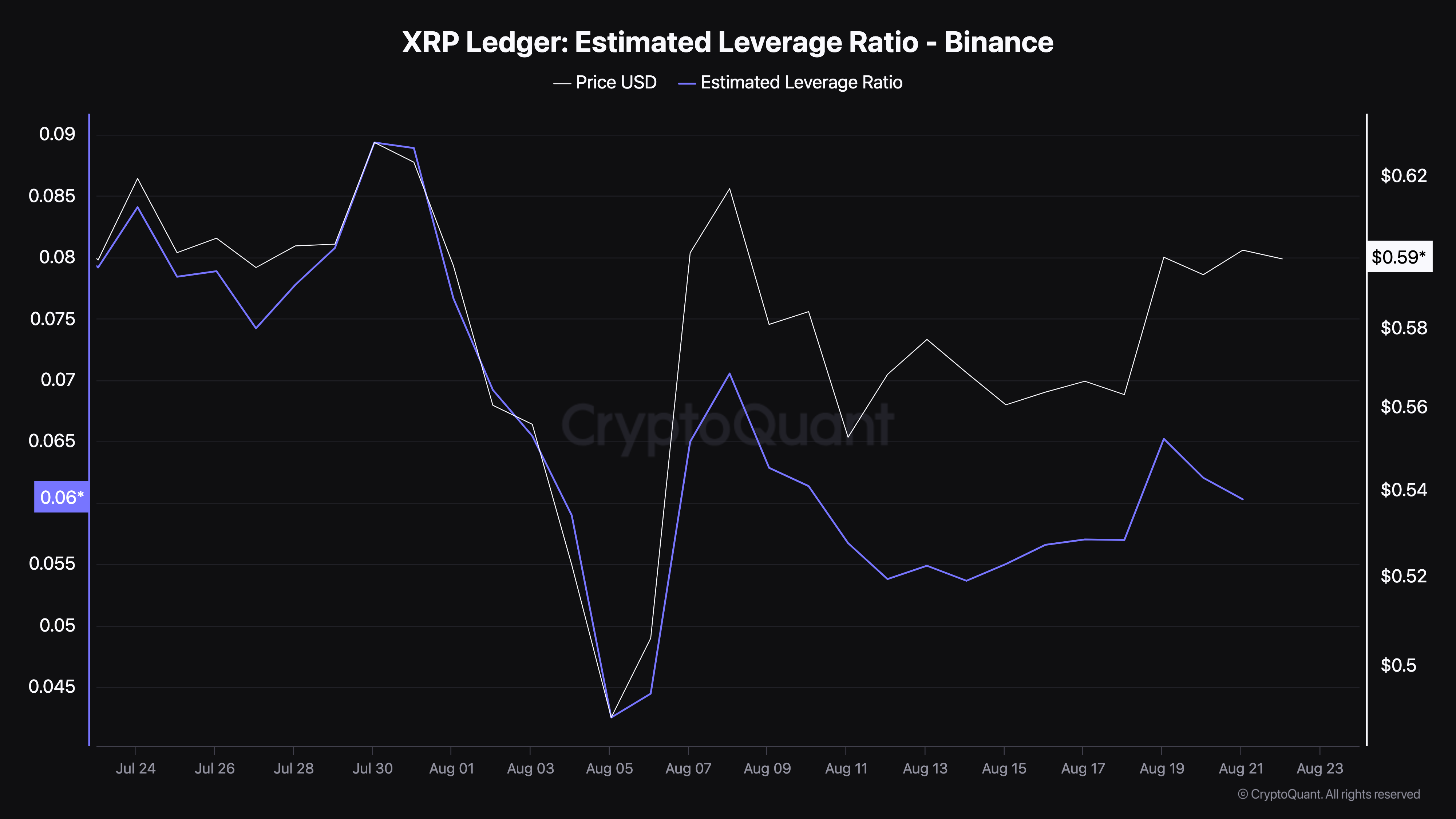 XRP 추정 레버리지 비율.