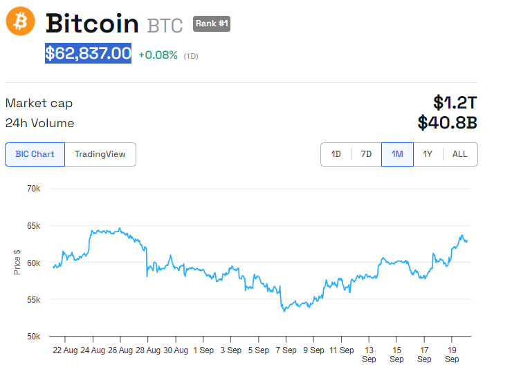 BTC 가격 성과