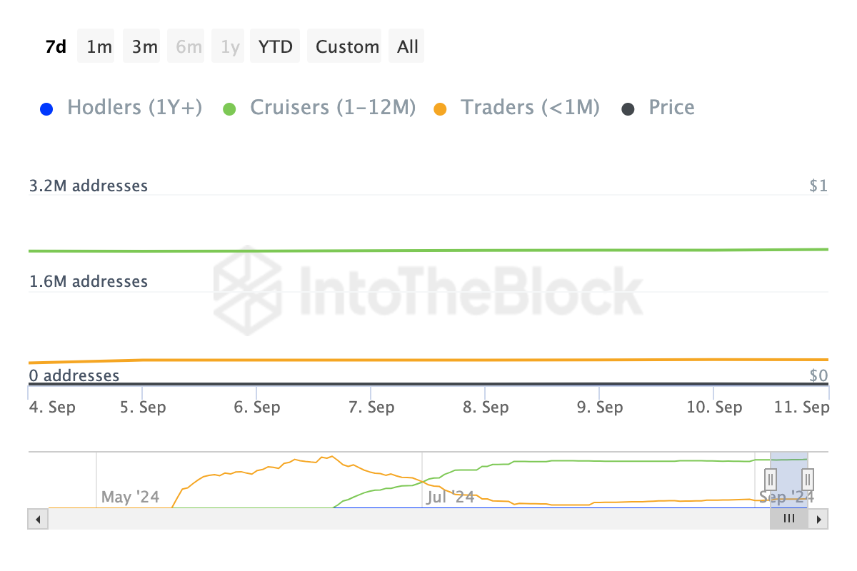 Notcoin Addresses by Time Held.