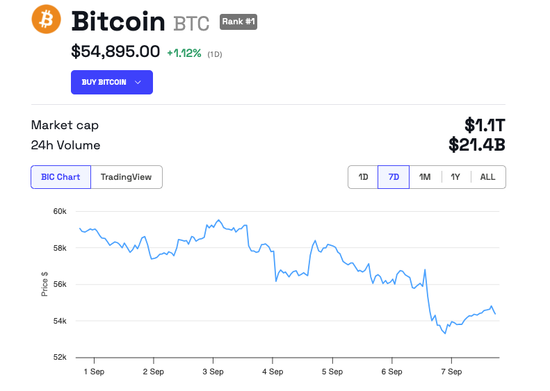 Bitcoin Price Performance