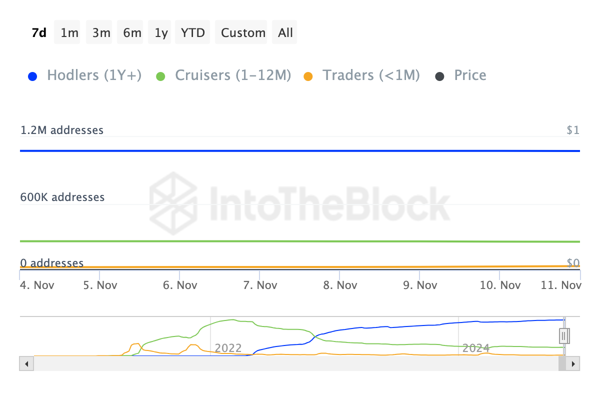 SHIB holders activity