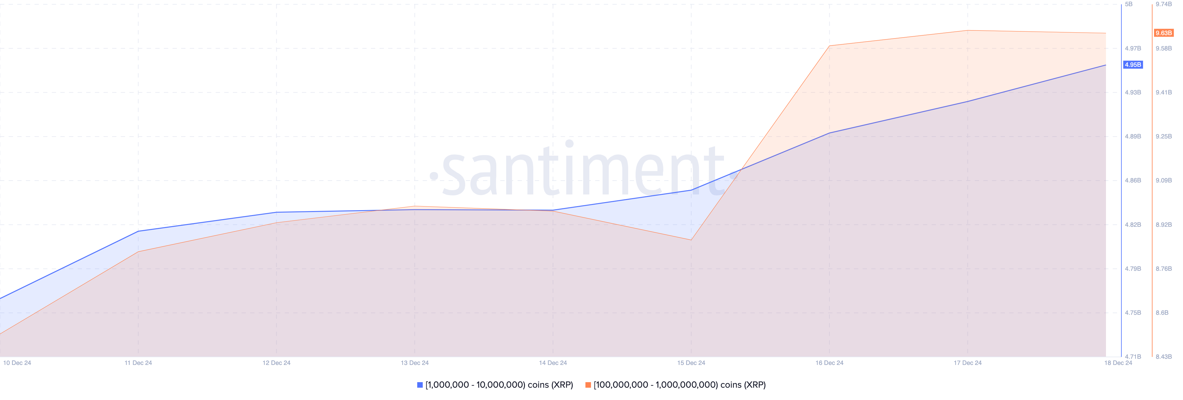 XRP 고래 축적 증가