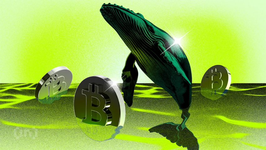 새로운 비트코인 고래, BTC 자본 대부분 보유…주간 고래 관찰