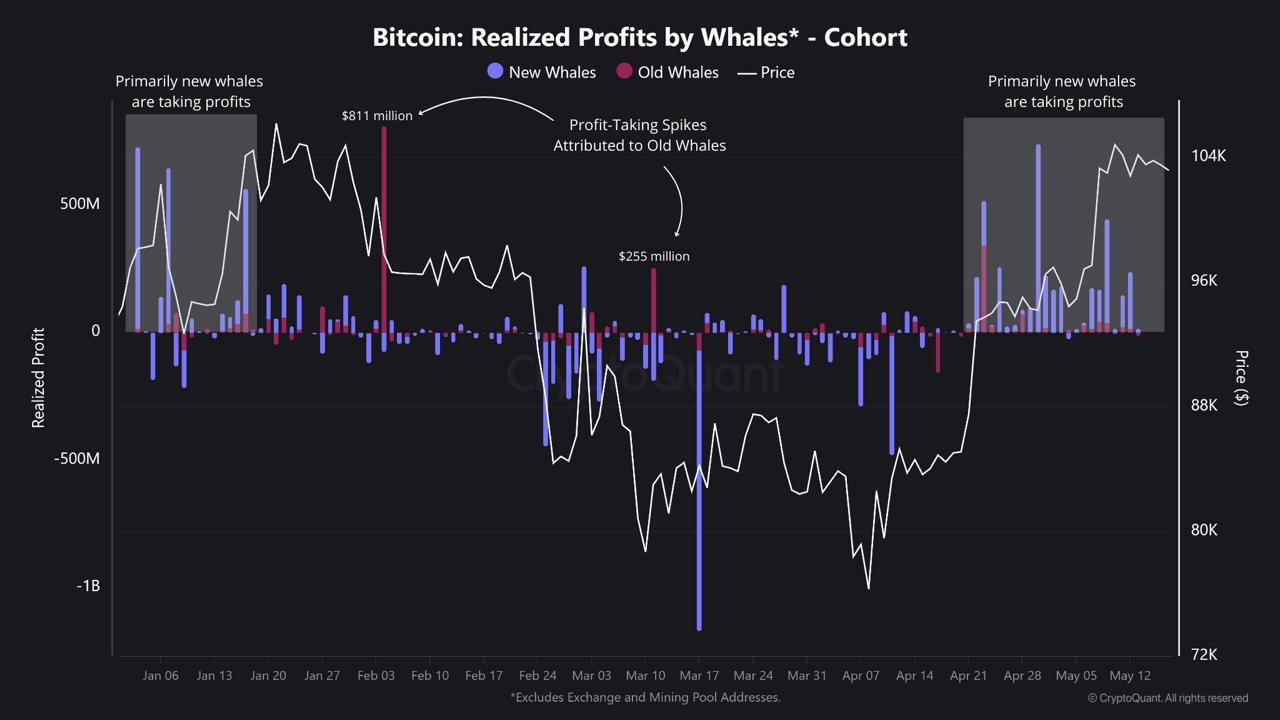 Bitcoin Whale Data