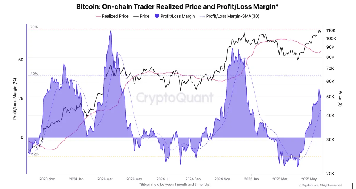 Bitcoin On-Chain Price and Profit/Loss Margin.