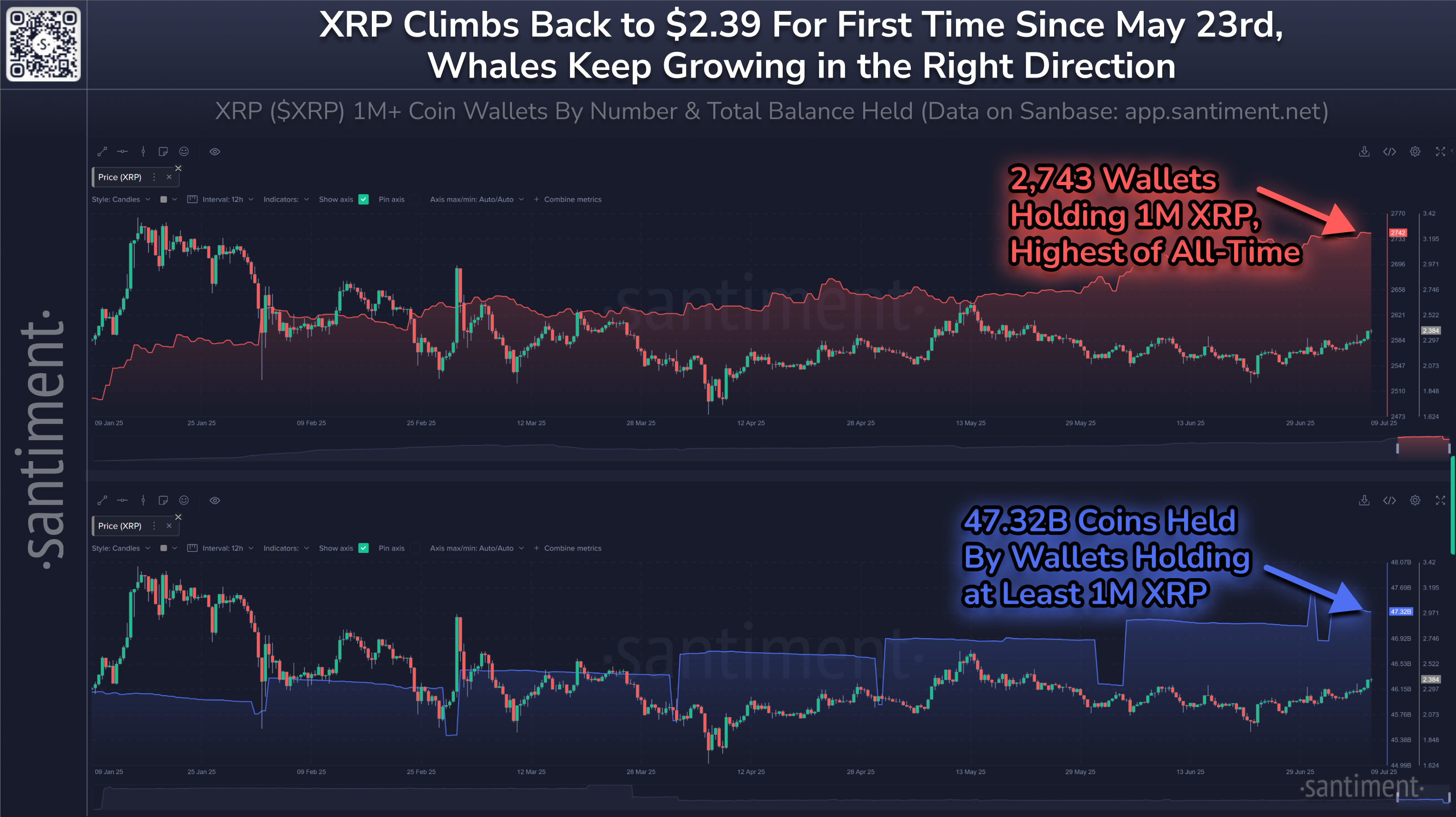 XRP 가격과 연초부터의 XRP 고래 수. 출처: Santiment.